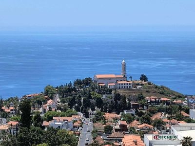 Круиз Канарски острови с Кадис и Мадейра 15.10.2025