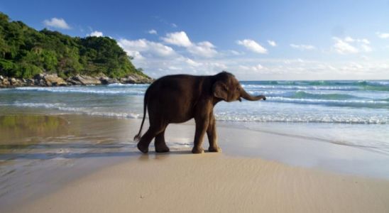 ТАЙЛАНД, с Пукет и СИНГАПУР - 11.09.2025, 17.10.2025, 31.10.2025